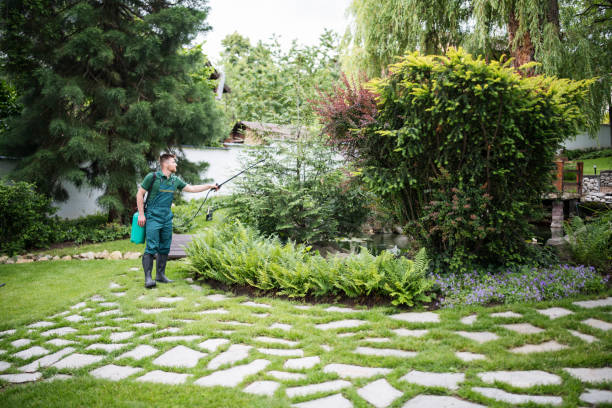 Best Pest Prevention Services  in Vilge St George, LA