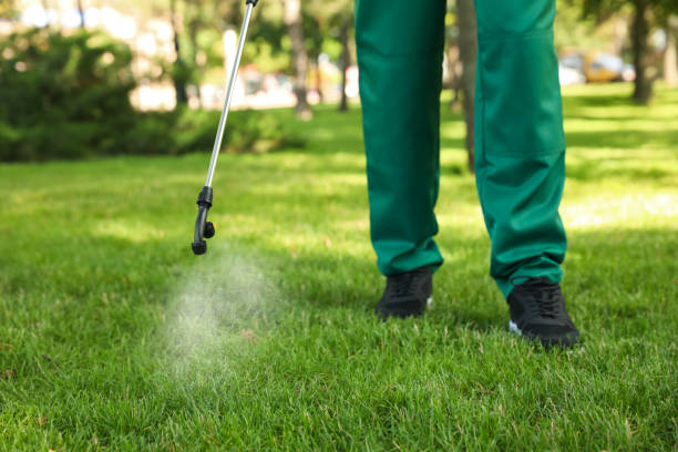 Trusted Village St George, LA Pest Control Experts