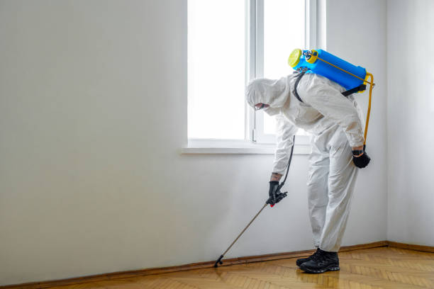 Best Best Pest Control Companies  in Vilge St George, LA