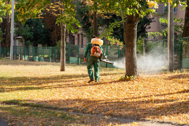 Best Termite Control Services  in Vilge St George, LA