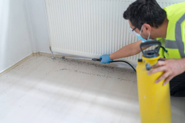 Best Affordable Pest Control Services  in Vilge St George, LA